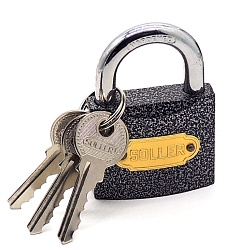 HG365-50-1 d8мм 3 ключа глянц.
